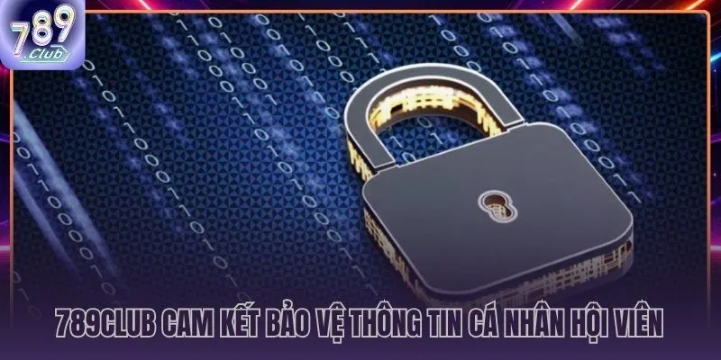 Chính sách bảo mật 789CLUB và từng danh mục dữ liệu được phân loại minh bạch